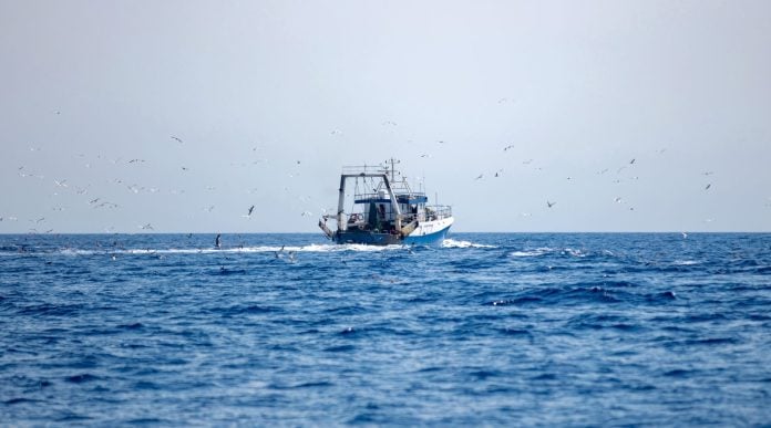 Αλιεία: Νέα ψηφιακή εφαρμογή για άμεση ενημέρωση σχετικά με τις τοπικές απαγορεύσεις
